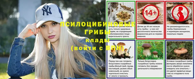 Галлюциногенные грибы Psilocybine cubensis  продажа наркотиков  blacksprut зеркало  Чита 